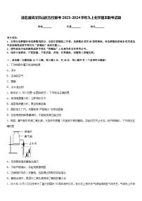 湖北省武汉洪山区五校联考2023-2024学年九上化学期末联考试题含答案