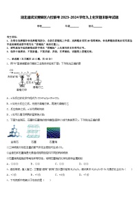 湖北省武汉黄陂区六校联考2023-2024学年九上化学期末联考试题含答案