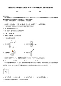 湖北省武汉市蔡甸区八校联盟2023-2024学年化学九上期末预测试题含答案