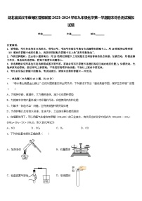 湖北省武汉市蔡甸区誉恒联盟2023-2024学年九年级化学第一学期期末综合测试模拟试题含答案