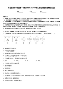 湖北省武汉市常青第一学校2023-2024学年九上化学期末调研模拟试题含答案