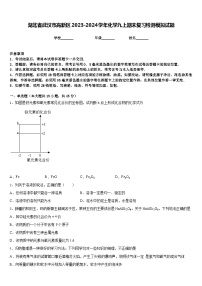 湖北省武汉市高新区2023-2024学年化学九上期末复习检测模拟试题含答案