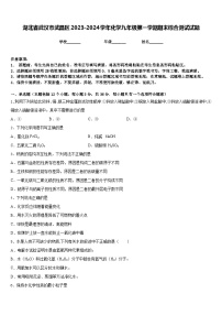 湖北省武汉市武昌区2023-2024学年化学九年级第一学期期末综合测试试题含答案