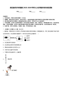 湖北省武汉市武昌区2023-2024学年九上化学期末综合测试试题含答案