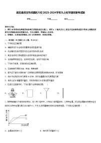 湖北省武汉市武昌区八校2023-2024学年九上化学期末联考试题含答案