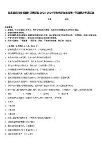 湖北省武汉市武昌区拼搏联盟2023-2024学年化学九年级第一学期期末考试试题含答案