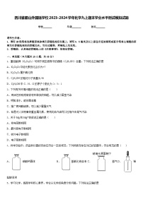 四川省眉山外国语学校2023-2024学年化学九上期末学业水平测试模拟试题含答案