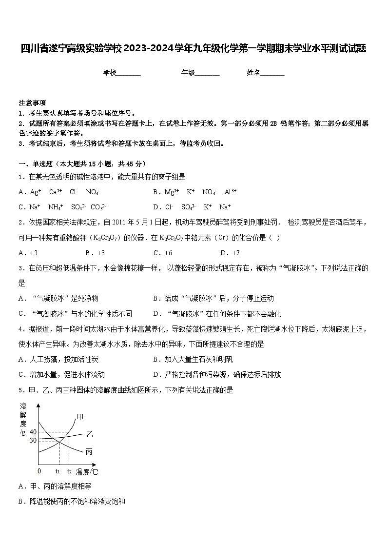 四川省遂宁高级实验学校2023-2024学年九年级化学第一学期期末学业水平测试试题含答案01
