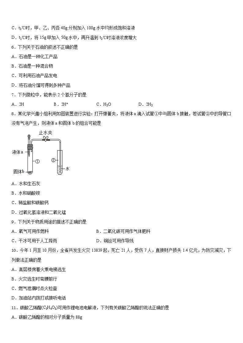 四川省遂宁高级实验学校2023-2024学年九年级化学第一学期期末学业水平测试试题含答案02