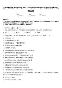 天津市滨海新区枫叶国际学校2023-2024学年化学九年级第一学期期末学业水平测试模拟试题含答案