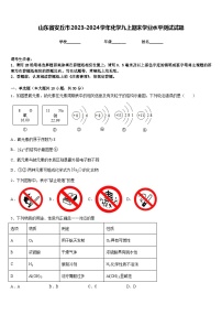 山东省安丘市2023-2024学年化学九上期末学业水平测试试题含答案