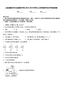 山东省临沂市兰山区部分学校2023-2024学年九上化学期末学业水平测试试题含答案