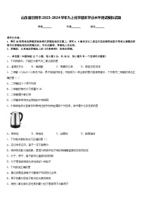 山东省日照市2023-2024学年九上化学期末学业水平测试模拟试题含答案