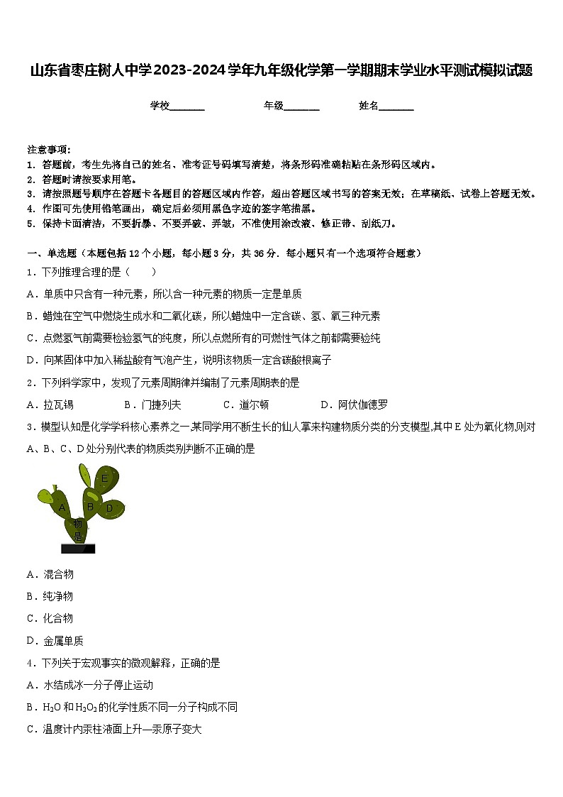 山东省枣庄树人中学2023-2024学年九年级化学第一学期期末学业水平测试模拟试题含答案第1页