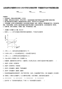 山东省枣庄市滕州市2023-2024学年九年级化学第一学期期末学业水平测试模拟试题含答案