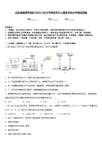 山东省滨州市名校2023-2024学年化学九上期末学业水平测试试题含答案