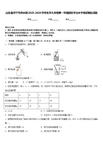 山东省济宁市泗水县2023-2024学年化学九年级第一学期期末学业水平测试模拟试题含答案