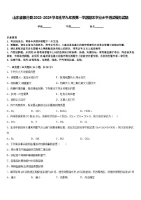 山东省部分县2023-2024学年化学九年级第一学期期末学业水平测试模拟试题含答案