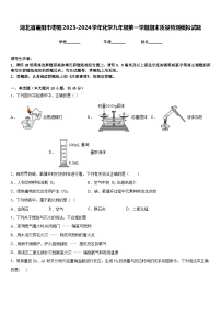 湖北省襄阳市枣阳2023-2024学年化学九年级第一学期期末质量检测模拟试题含答案