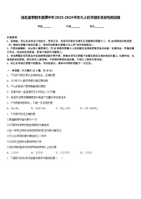 湖北省枣阳市清潭中学2023-2024学年九上化学期末质量检测试题含答案