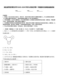 湖北省枣阳市第五中学2023-2024学年九年级化学第一学期期末质量跟踪监视试题含答案