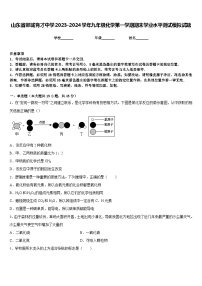 山东省郯城育才中学2023-2024学年九年级化学第一学期期末学业水平测试模拟试题含答案