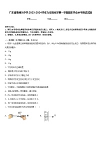 广东省惠州九中学2023-2024学年九年级化学第一学期期末学业水平测试试题含答案