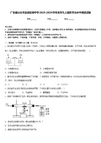 广东省汕头市龙湖实验中学2023-2024学年化学九上期末学业水平测试试题含答案