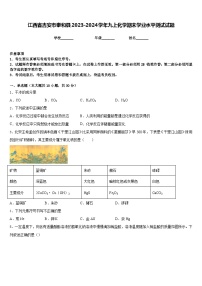 江西省吉安市泰和县2023-2024学年九上化学期末学业水平测试试题含答案