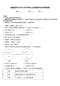 河南省宝丰市2023-2024学年九上化学期末学业水平测试试题含答案