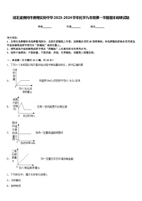 湖北省黄冈市黄梅实验中学2023-2024学年化学九年级第一学期期末调研试题含答案