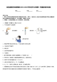 湖北省黄冈市季黄梅县2023-2024学年化学九年级第一学期期末联考试题含答案