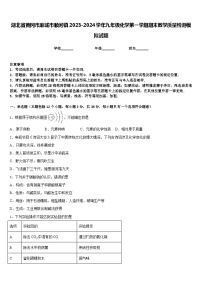 湖北省黄冈市麻城市顺河镇2023-2024学年九年级化学第一学期期末教学质量检测模拟试题含答案