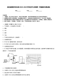 湖北省黄冈市浠水县2023-2024学年化学九年级第一学期期末经典试题含答案