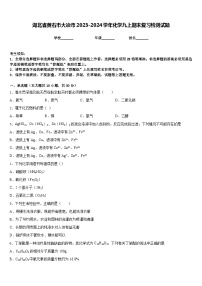 湖北省黄石市大冶市2023-2024学年化学九上期末复习检测试题含答案