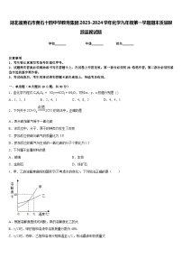 湖北省黄石市黄石十四中学教育集团2023-2024学年化学九年级第一学期期末质量跟踪监视试题含答案