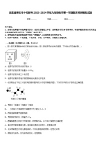 湖北省黄石市十校联考2023-2024学年九年级化学第一学期期末检测模拟试题含答案