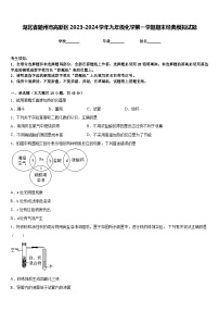 湖北省随州市高新区2023-2024学年九年级化学第一学期期末经典模拟试题含答案