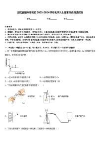 湖北省随州市名校2023-2024学年化学九上期末综合测试试题含答案