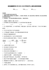 湖北省襄阳老河口市2023-2024学年化学九上期末达标检测试题含答案