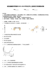 湖北省襄阳市枣阳县2023-2024学年化学九上期末复习检测模拟试题含答案