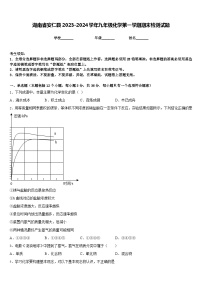 湖南省安仁县2023-2024学年九年级化学第一学期期末检测试题含答案