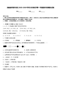 湖南省岳阳市名校2023-2024学年九年级化学第一学期期末检测模拟试题含答案