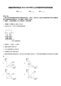 湖南省岳阳市君山区2023-2024学年九上化学期末教学质量检测试题含答案