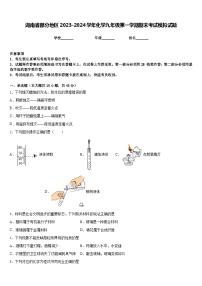 湖南省部分地区2023-2024学年化学九年级第一学期期末考试模拟试题含答案