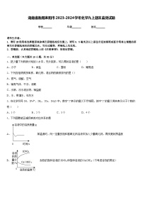 湖南省衡阳耒阳市2023-2024学年化学九上期末监测试题含答案