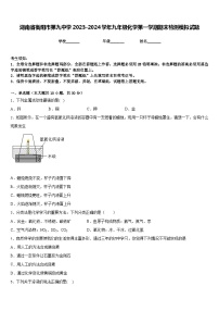 湖南省衡阳市第九中学2023-2024学年九年级化学第一学期期末检测模拟试题含答案