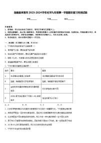 湖南省耒阳市2023-2024学年化学九年级第一学期期末复习检测试题含答案