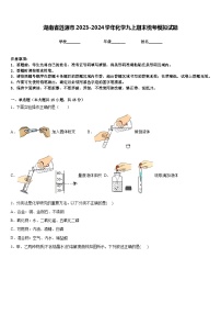 湖南省涟源市2023-2024学年化学九上期末统考模拟试题含答案