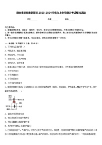 湖南省邵阳市北塔区2023-2024学年九上化学期末考试模拟试题含答案